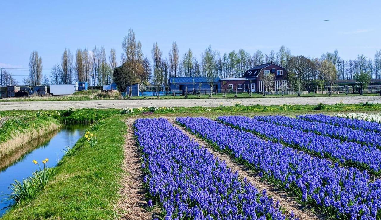 Villa Het Dijkstuk à Noordwijkerhout Extérieur photo